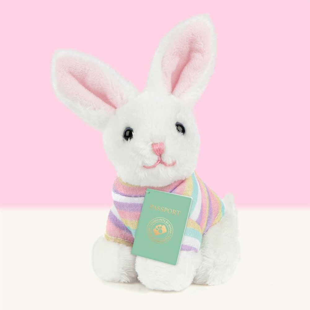 Mini Konijn Bunny BunBun (incl. paspoort en stickerboekje)