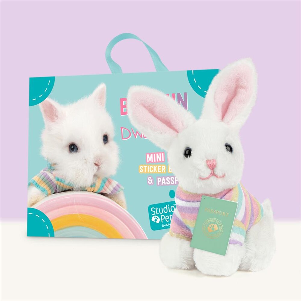 Mini Konijn Bunny BunBun (incl. paspoort en stickerboekje)