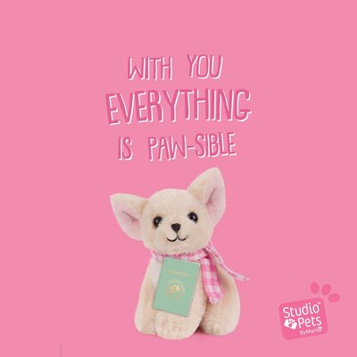 Mini Puppy Chihuahua Pinkie (incl. paspoort en stickerboekje)