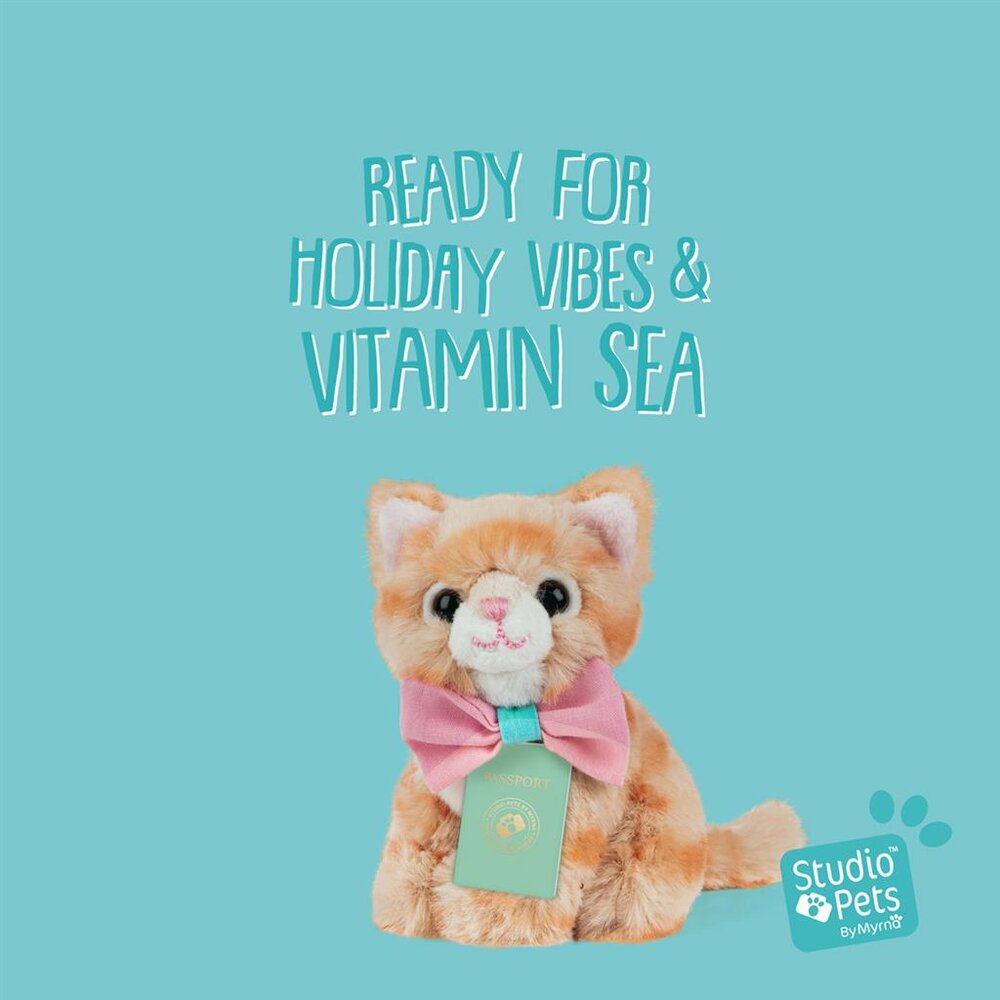 Mini knuffel Kitten Europese Korthaar Tommy (met eigen pasport en stickerboekje)