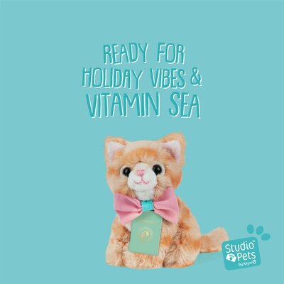 Mini knuffel Kitten Europese Korthaar Tommy (met eigen pasport en stickerboekje)