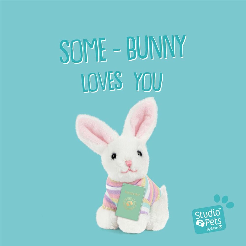 Mini Konijn Bunny BunBun (incl. paspoort en stickerboekje)