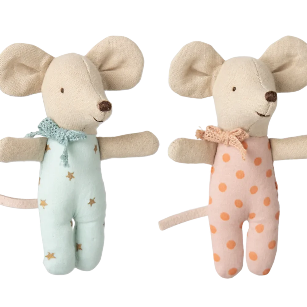 Baby twins mice in matchbox