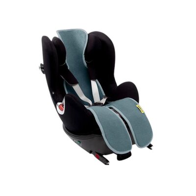 Air layer buggy Mint