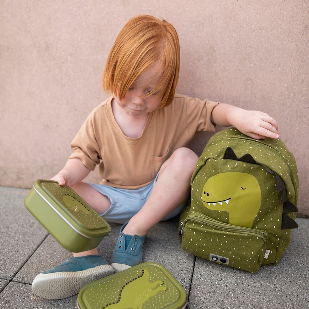 Brooddoos klein Mr. Dino