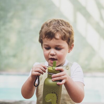 Drinkfles - 350ml Mr. Dino