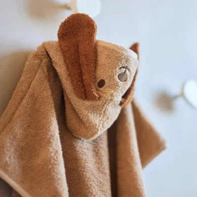 Badponcho - Diego Biscuit