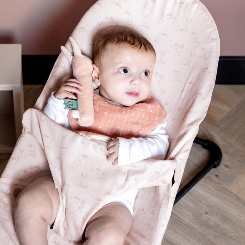 Knijprammelaar Mrs. Rabbit