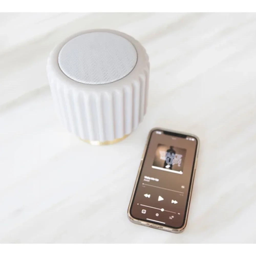 Dentelles speaker met licht Grijs