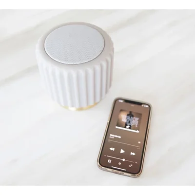 Dentelles speaker met licht Grijs