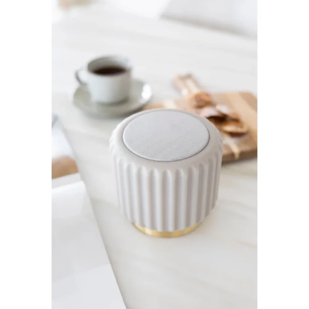 Dentelles speaker met licht Grijs
