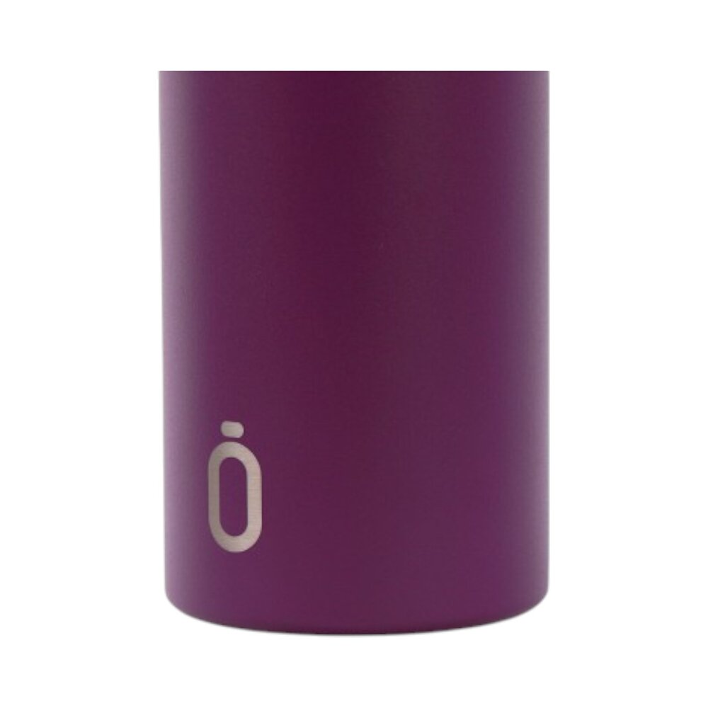 Thermische fles - 600ml Aurgine