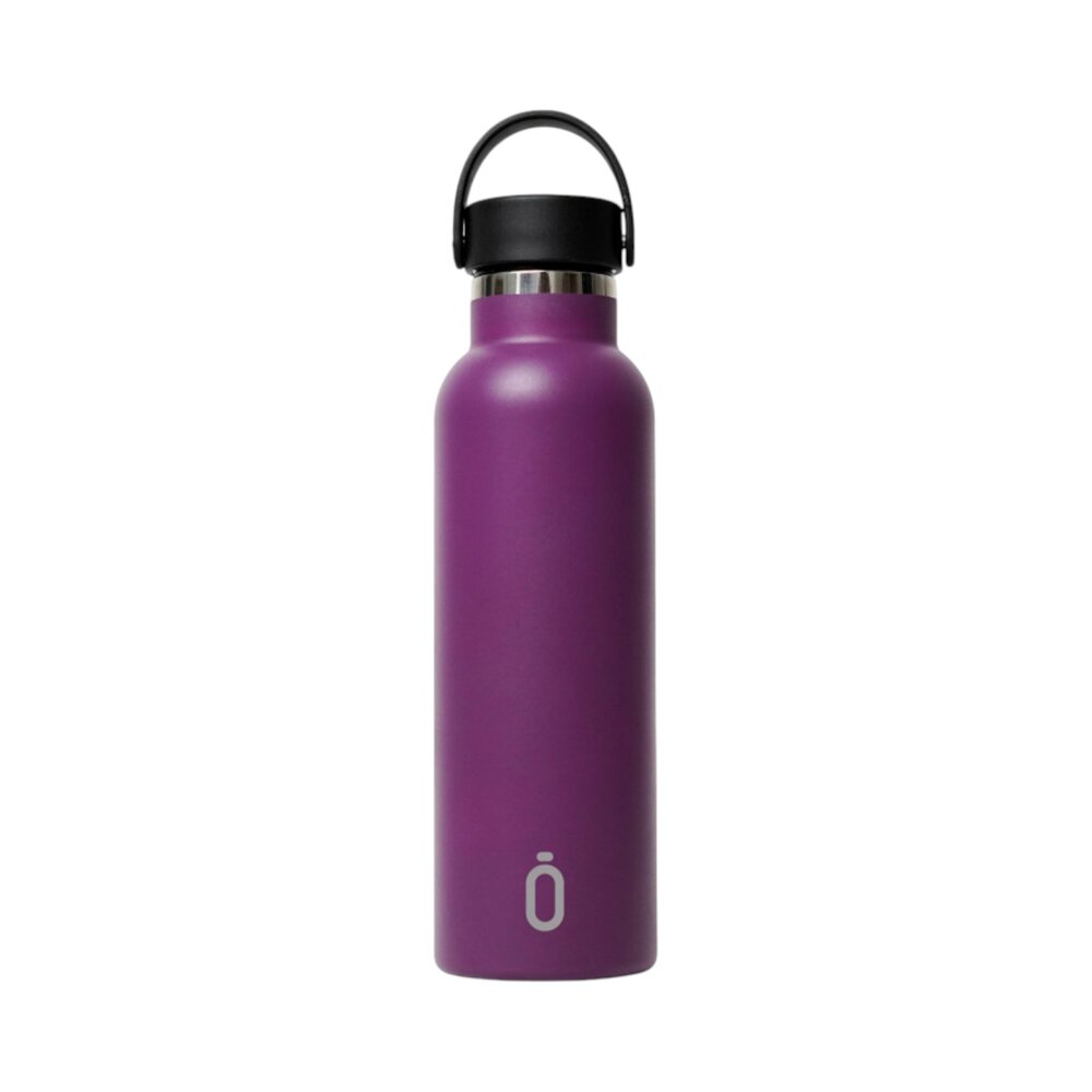 Thermische fles - 600ml Aurgine