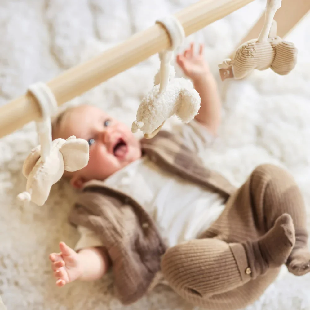 Babygym Speeltjes Elephant tales