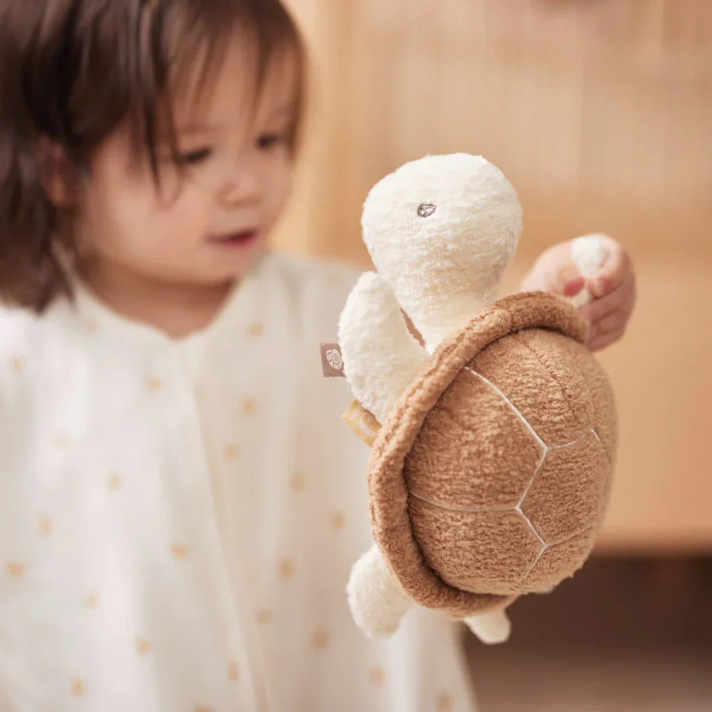 Activity Toy Deepsea Turtle Biscuit