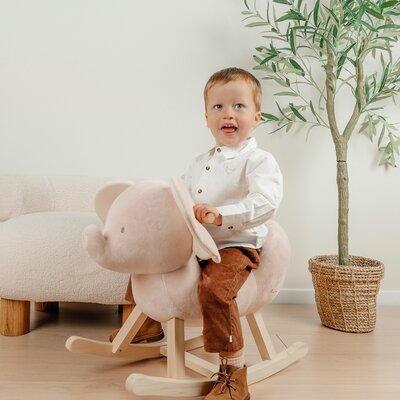 Trousers Corduroy chocolate Crazy tiger
