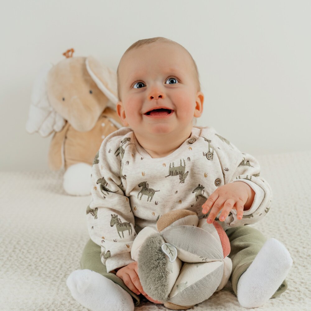 Set sweat + trousers Sweet Zebra