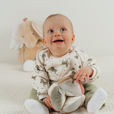 Set sweat + trousers Sweet Zebra
