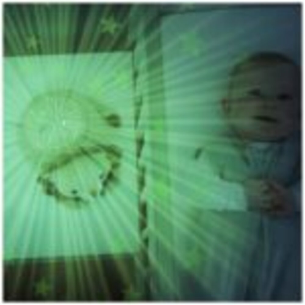 Star Projector - Lion