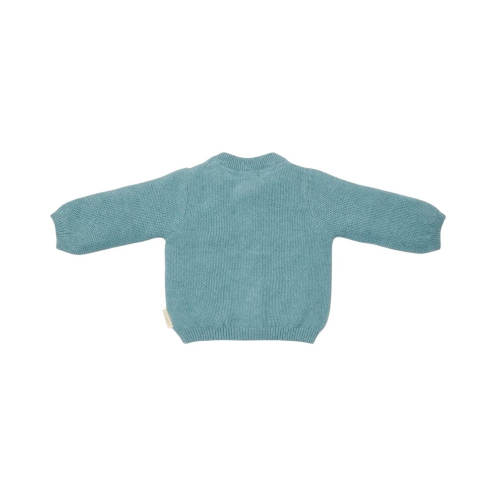 Gebreid vestje Baby blue