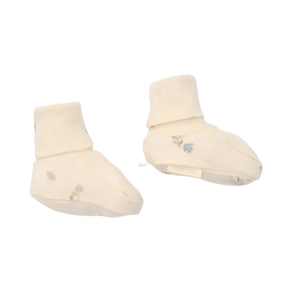 Slofjes Forest Nature Slofjes Forest Nature