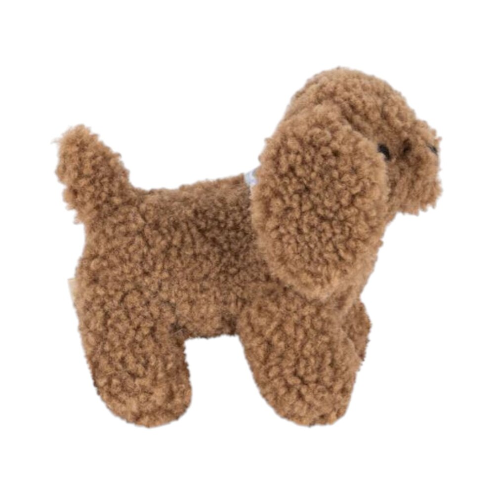 Activiteiten puppy