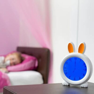 BC100BUNNY - Slaaptrainer konijn