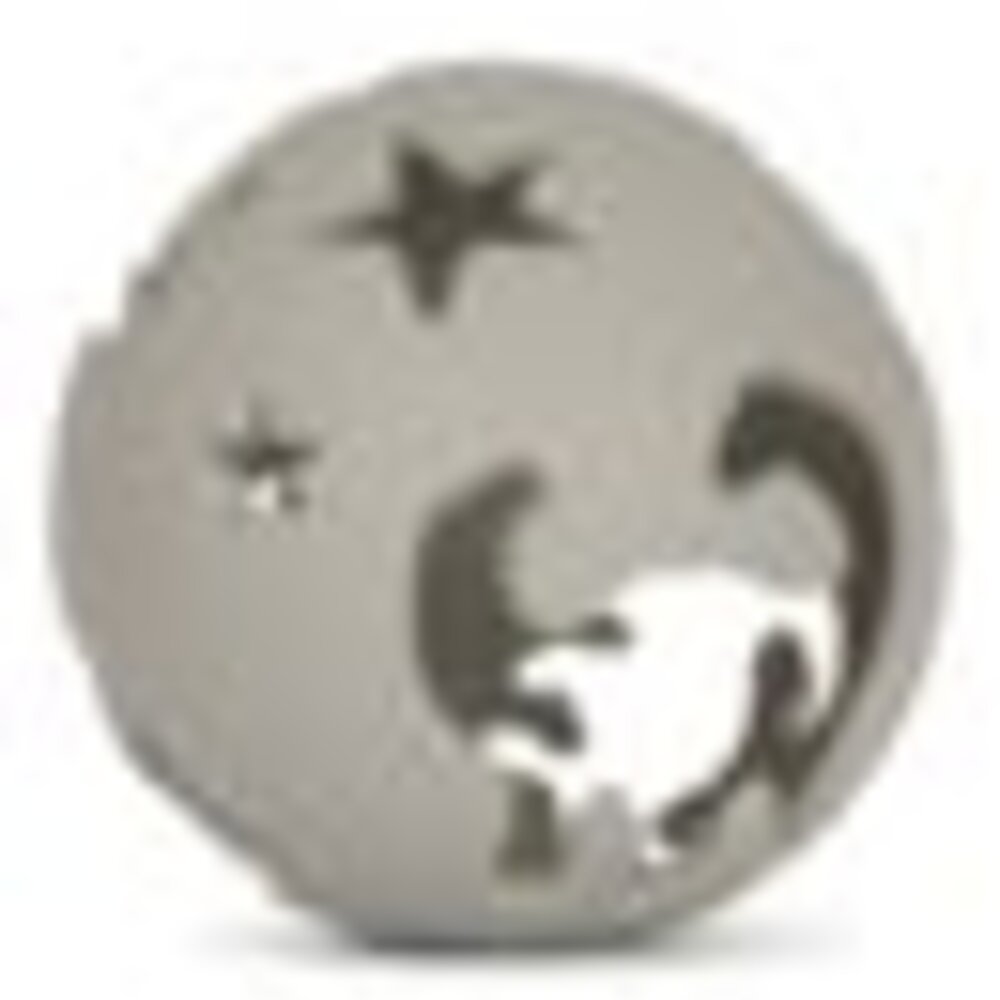 2-pack activity balls dino Quarry blue mix