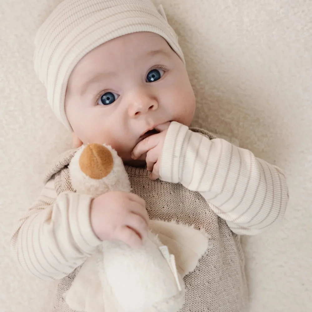 T-shirt lange mouw Soft Beige Stripe Little Goose