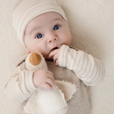 T-shirt lange mouw Soft Beige Stripe Little Goose