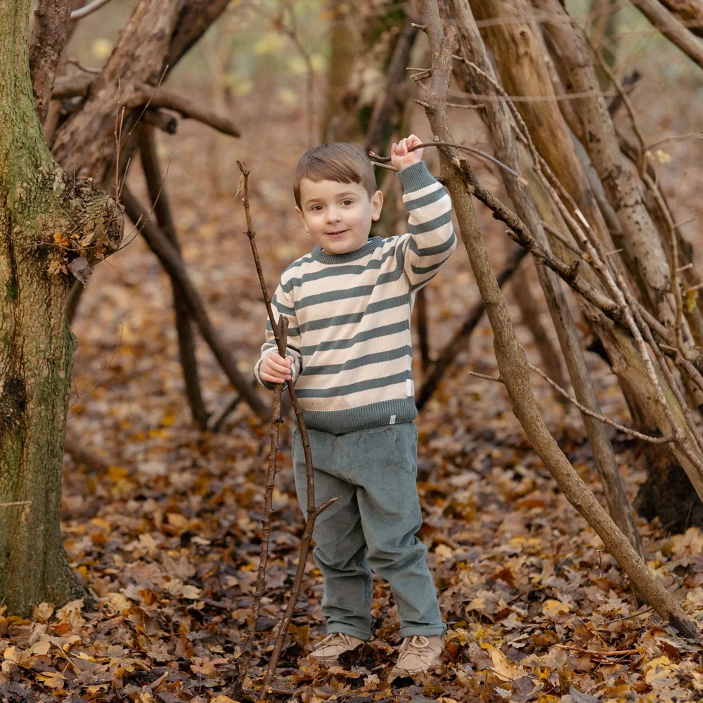 Gebreide trui Balsam Green Stripe forest friends Gebreide trui Balsam Green Stripe forest friends