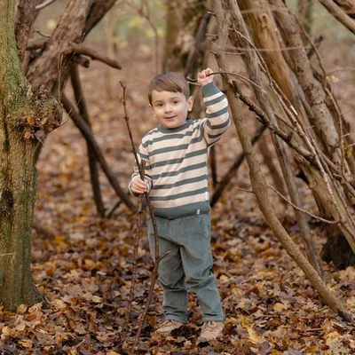 Gebreide trui Balsam Green Stripe forest friends Gebreide trui Balsam Green Stripe forest friends