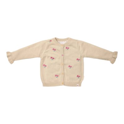 Gebreid vestje Sand Fairy garden