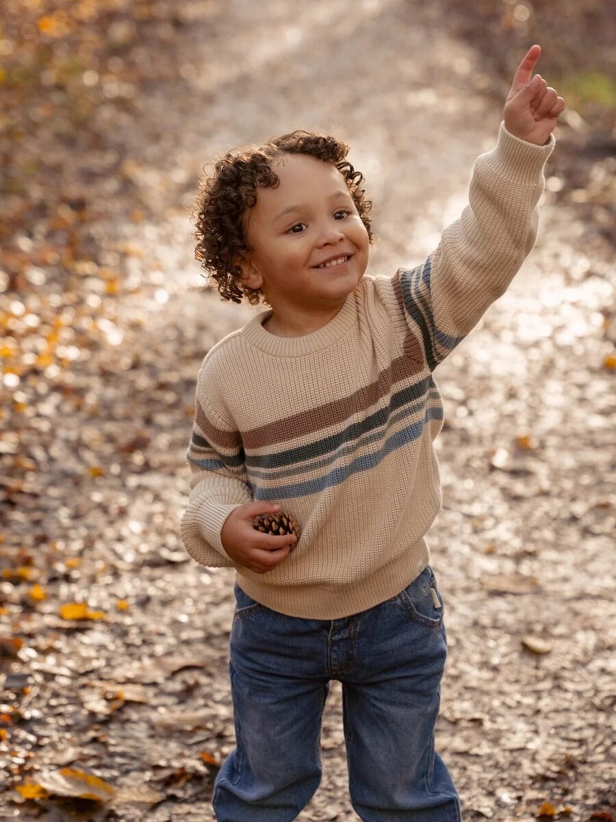 Little Dutch