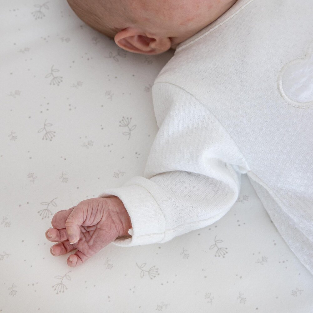 Babypakje Bobbi Coline teddy beer
