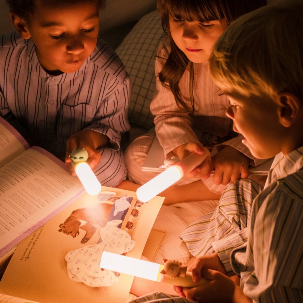 Zoo Light (lees)lampje dino