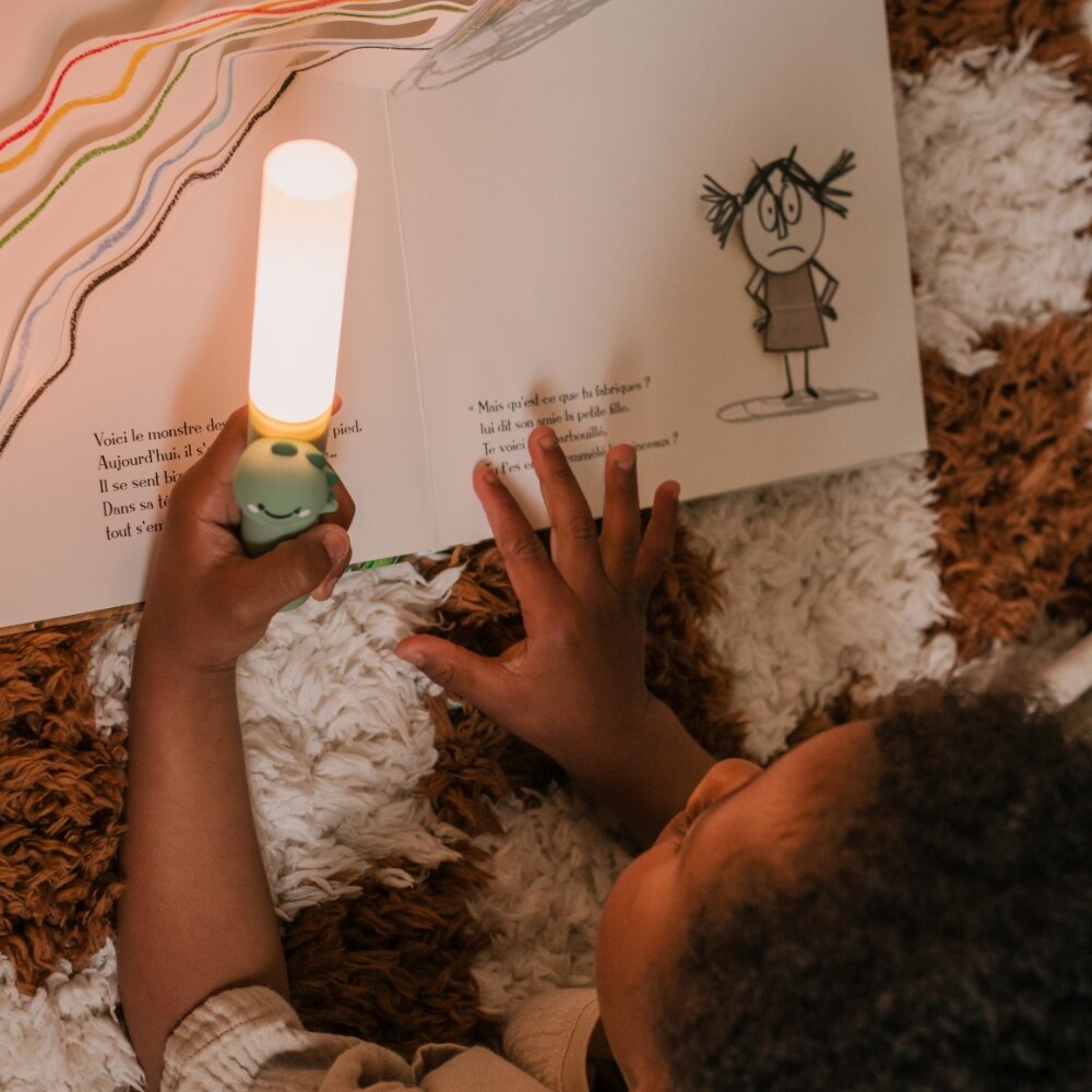 Zoo Light (lees)lampje dino