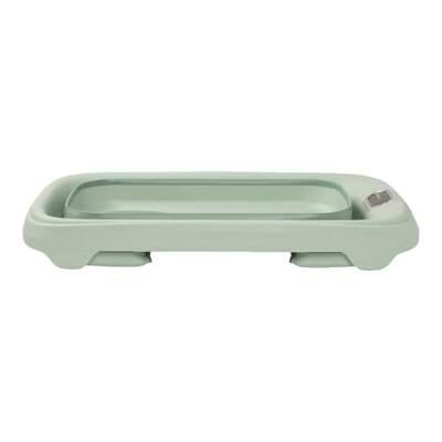 Swift playard eco bad sage green