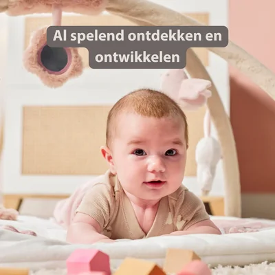 Speeltapijt met bogen Fanfan