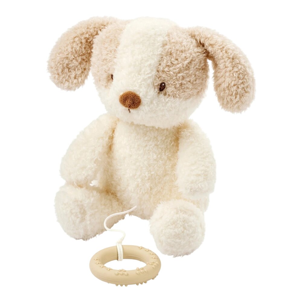 Babyhond muziektrekker Teddy