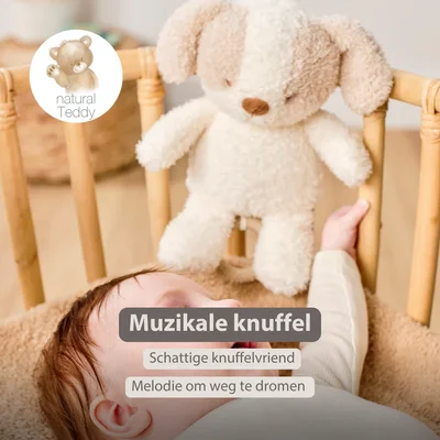 Babyhond muziektrekker Teddy