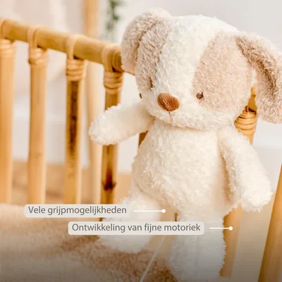 Babyhond muziektrekker Teddy