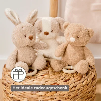 Babyhond muziektrekker Teddy