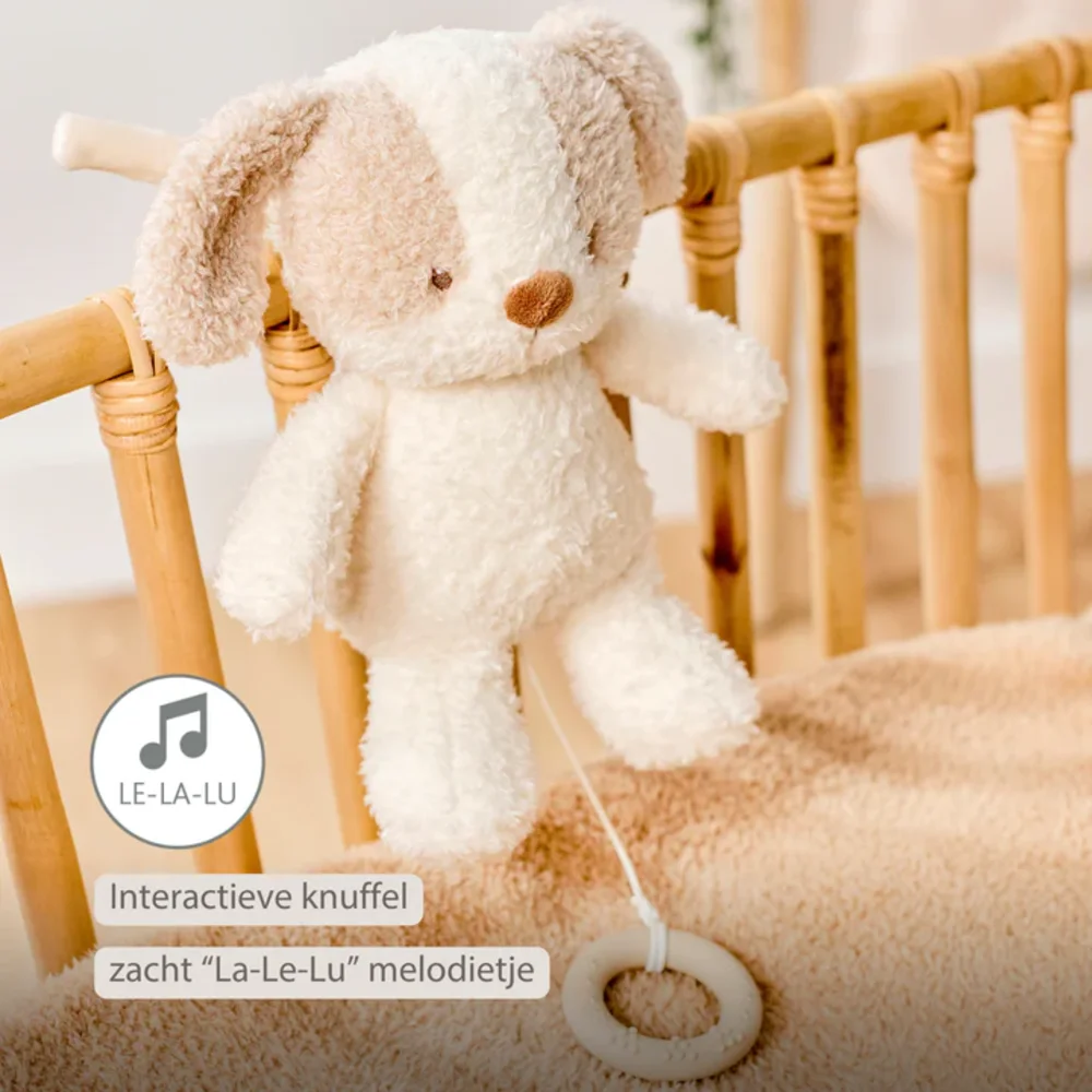 Babyhond muziektrekker Teddy
