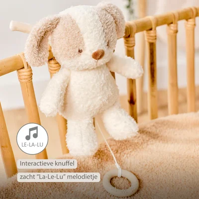 Babyhond muziektrekker Teddy