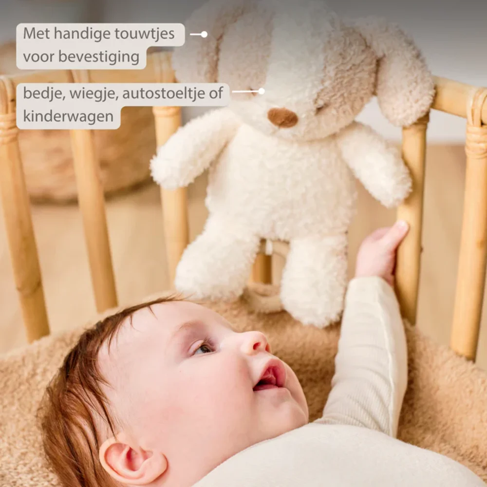 Babyhond muziektrekker Teddy