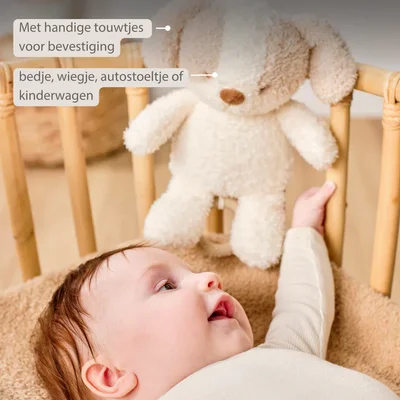 Babyhond muziektrekker Teddy