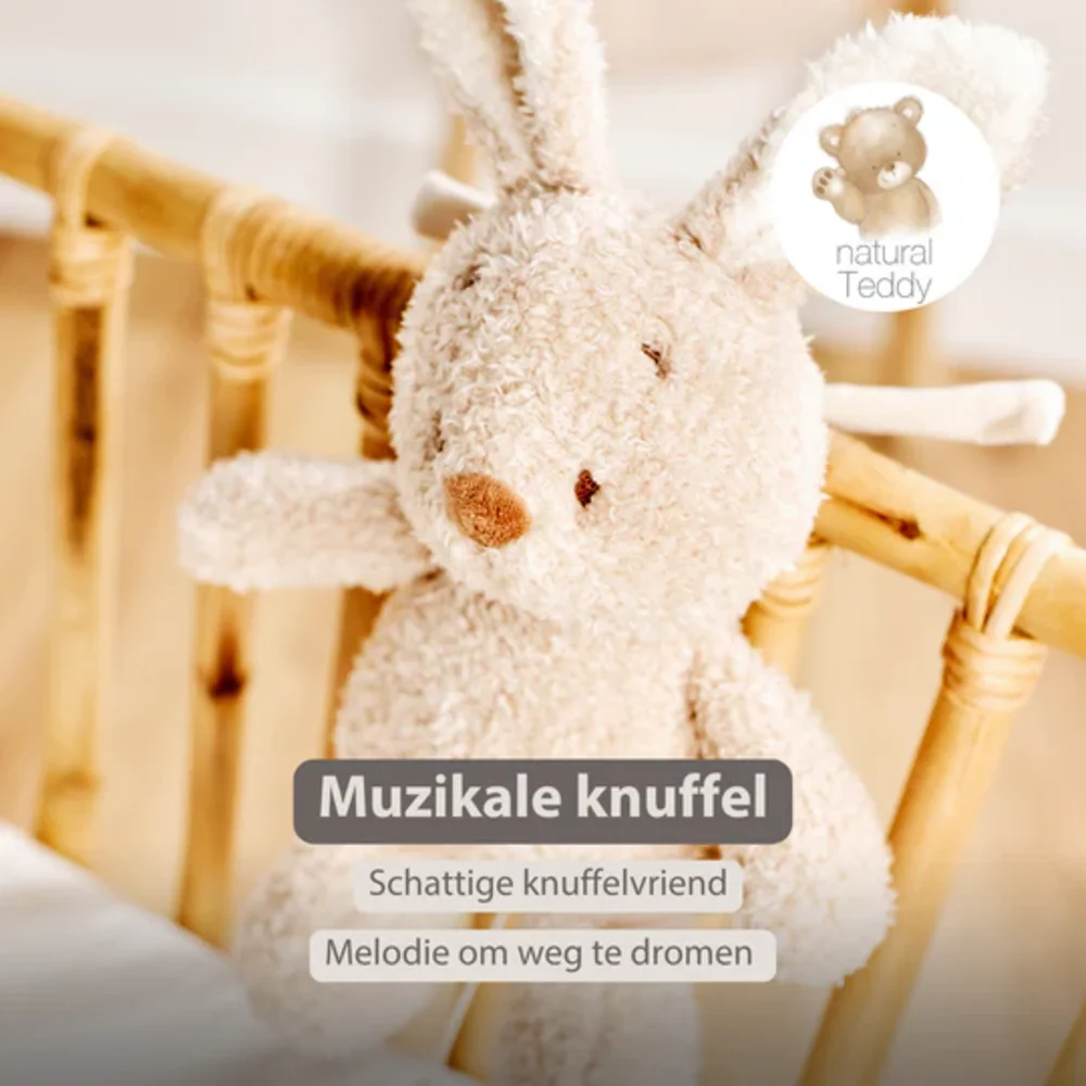 Babykonijn muziektrekker Teddy Babykonijn muziektrekker Teddy
