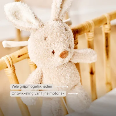 Babykonijn muziektrekker Teddy Babykonijn muziektrekker Teddy