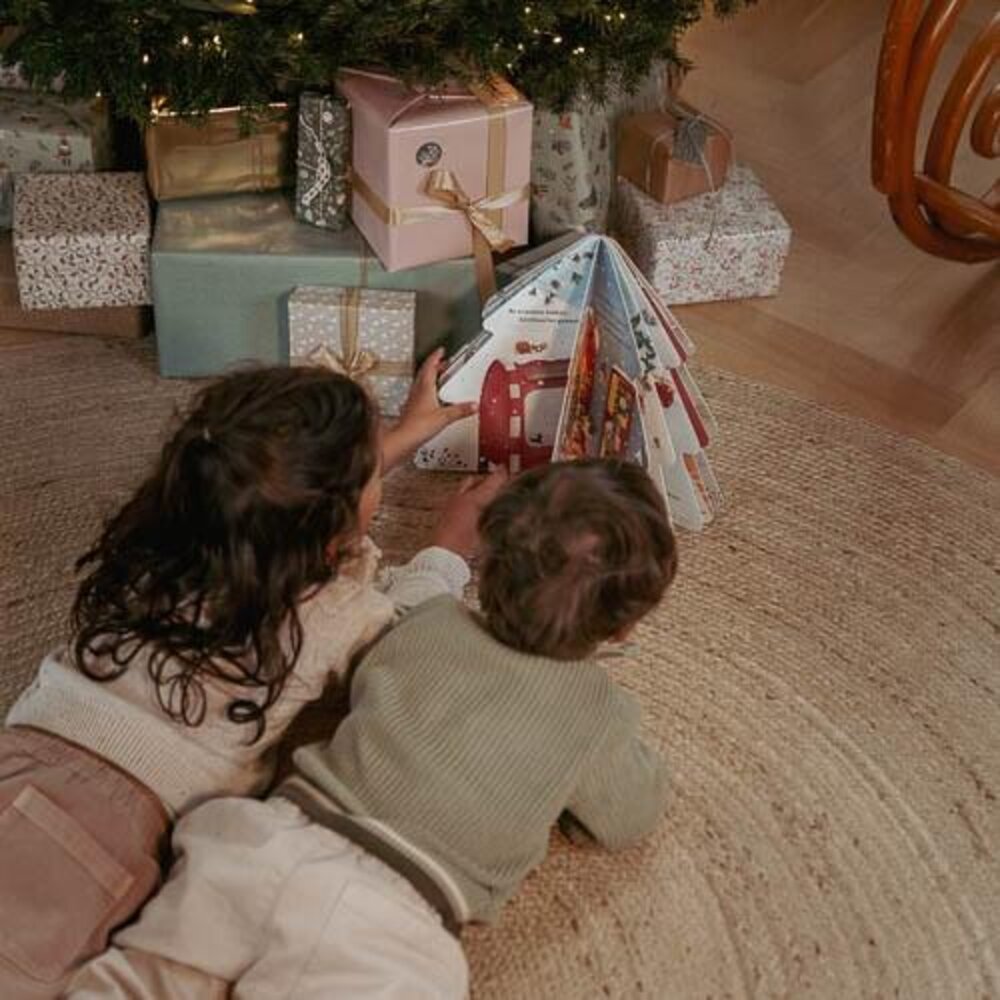 Boek: bijna kerst Boek: bijna kerst